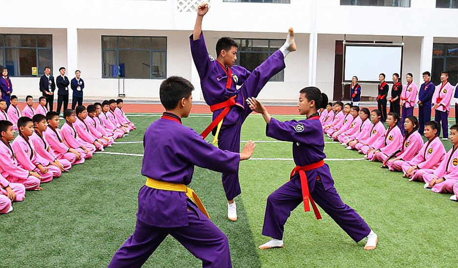 Khi tòa soạn gộp taolu, sanda và MMA vào một nhãn chung
