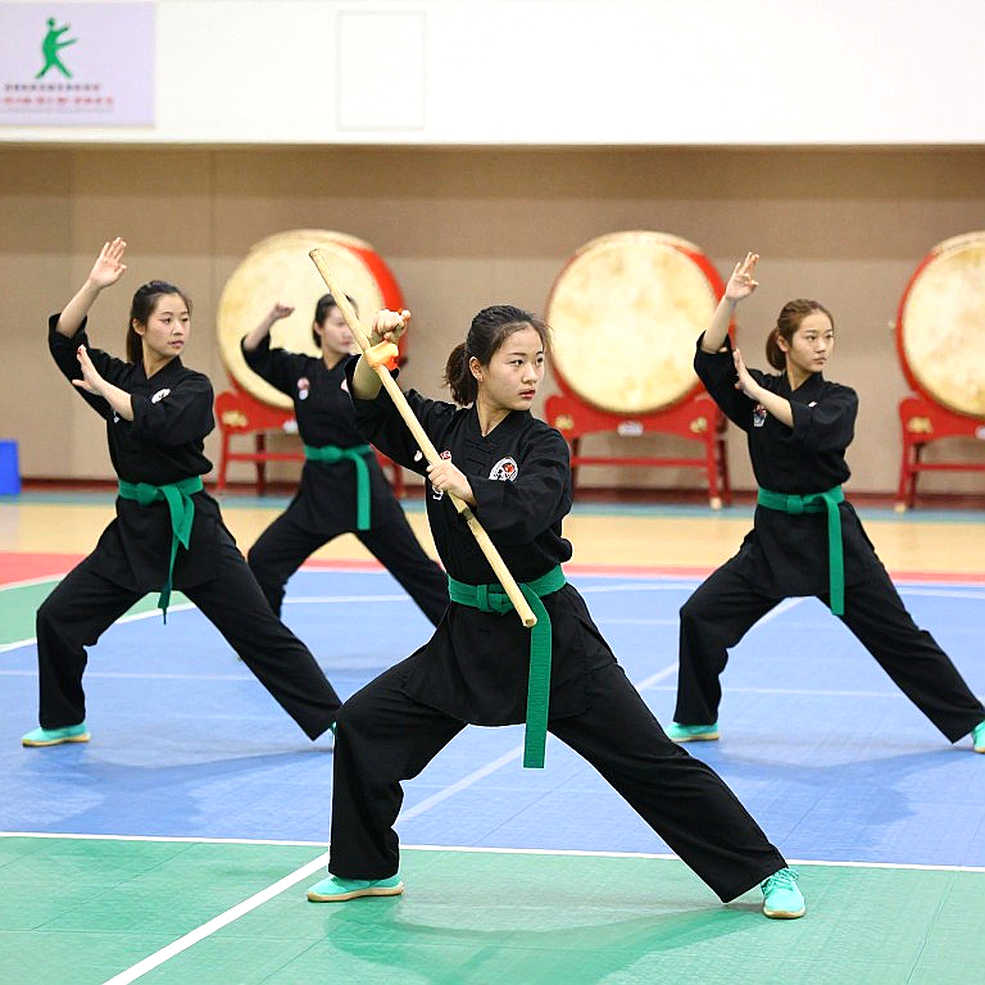 Empty Report: When Martial Arts Analysis Stops at 'N/A'