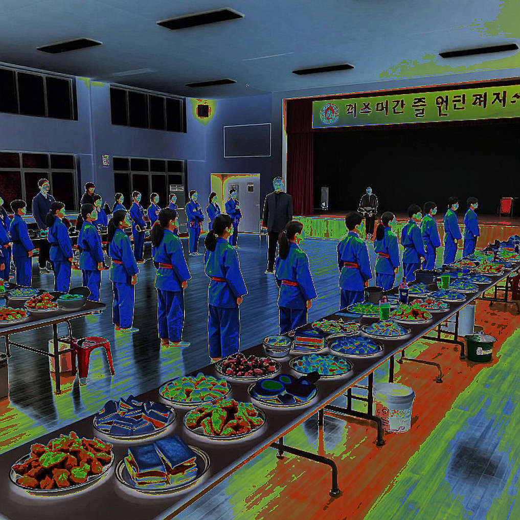 Martial Arts Sports Analysis Cannot Proceed Due to Lack of Data