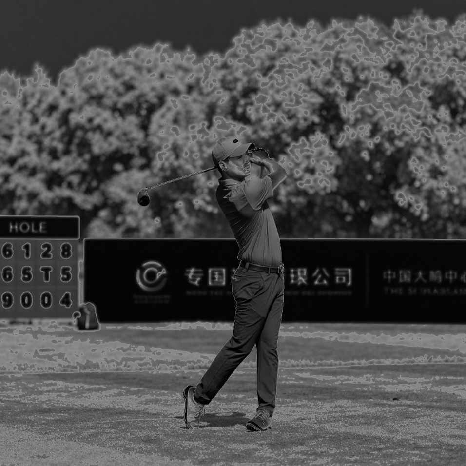 Scottie Scheffler: Cuộc Cách Mạng Putting 54 Triệu Đô