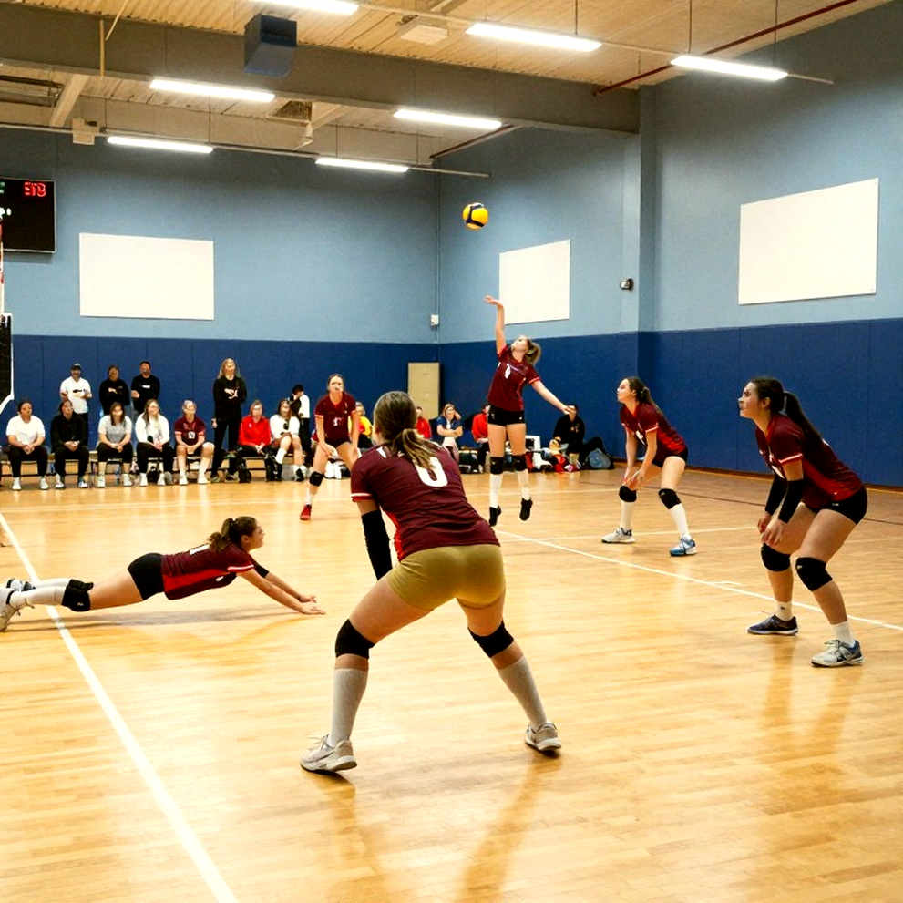 Türkiye chạm một tay vào Olympic 2028 sau chiến thắng 3-0 trước Serbia tại bán kết EuroVolley nữ 2026